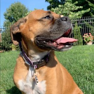 Meet your Posher, Grace